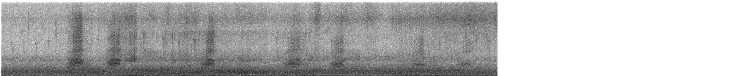 Chihuahuan Raven - ML645280765