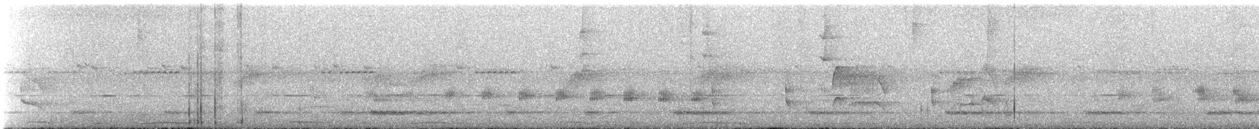 Picazuro Pigeon - ML645281015