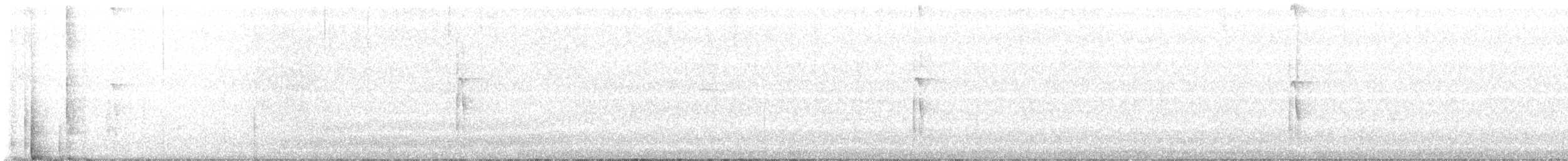 strakapoud americký - ML645281143