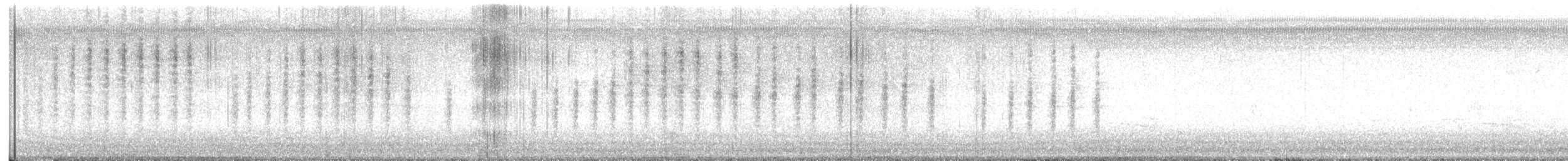 Chochín Criollo Norteño - ML645281209
