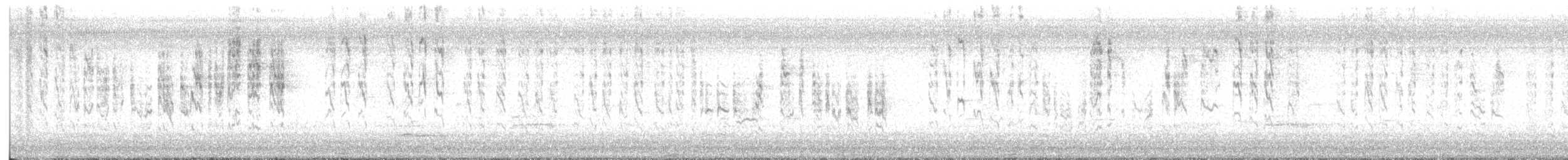 Chochín Criollo Norteño - ML645281426