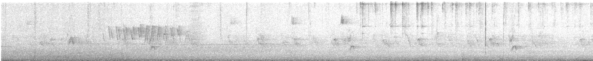 Wilson's Warbler - ML645281979