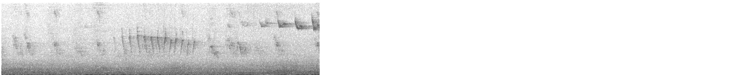 Wilson's Warbler - ML645282047