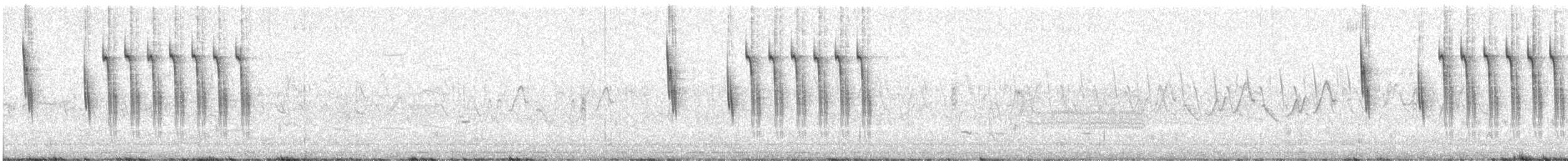 Sedge Wren - ML645282111