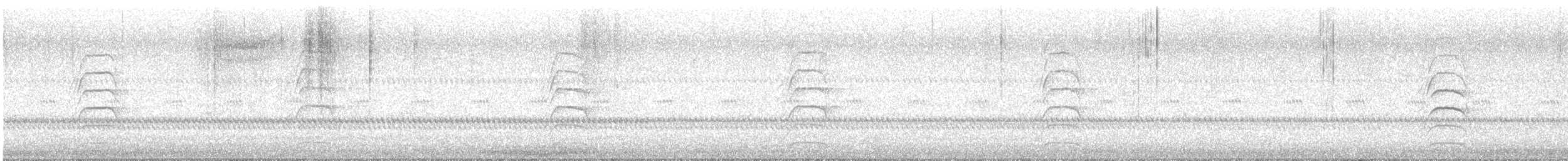 Spotted Towhee - ML645282123