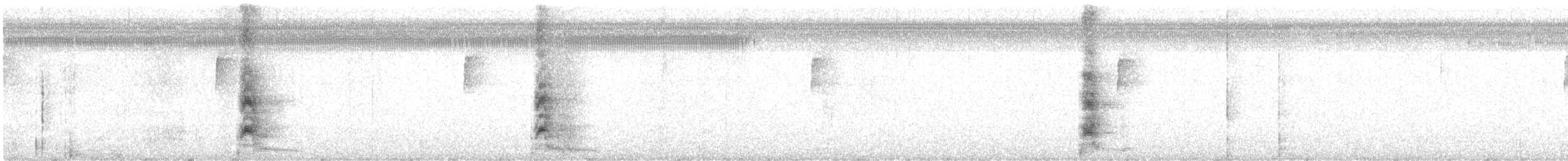 Brown Jay - ML645282289