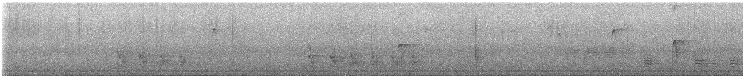 シマセゲラ - ML645282985