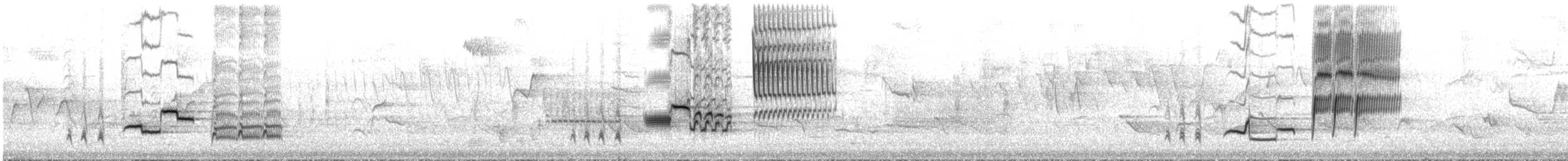 Wood Thrush - ML645285046