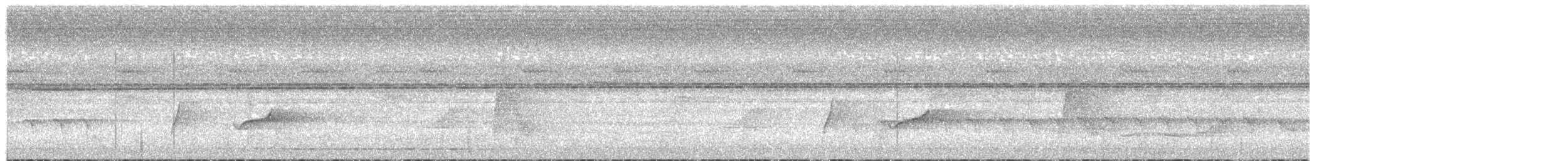 Horsfield's Babbler - ML645285299