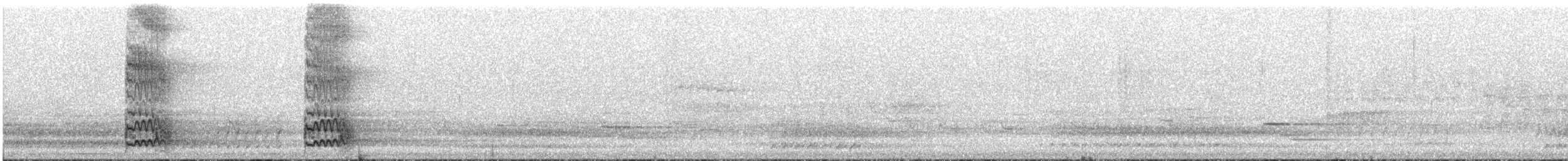 Red-bellied Woodpecker - ML645285573