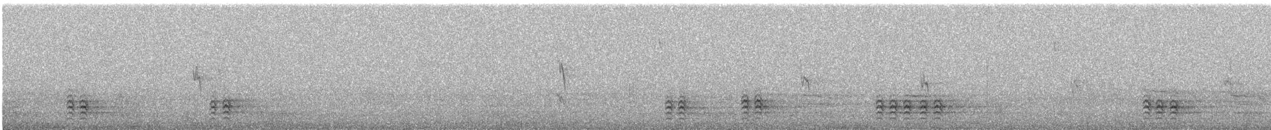 White-breasted Nuthatch - ML645286437