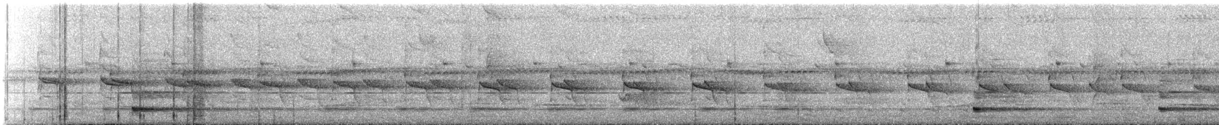 Variegated Antpitta - ML645286458