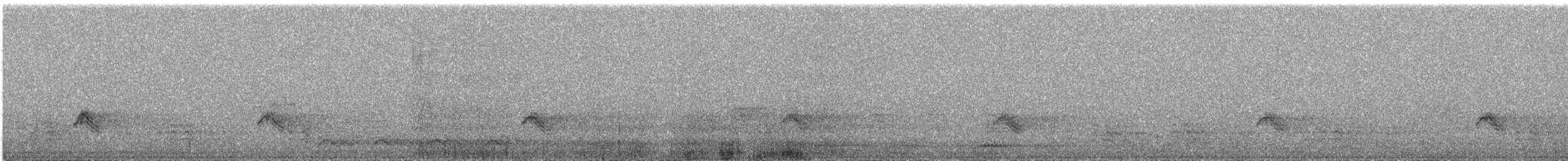 キビタイシメ（第3型） - ML645286550