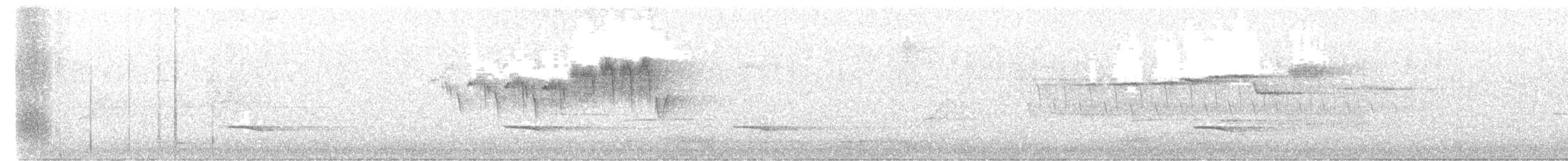 Black-throated Green Warbler - ML645286682