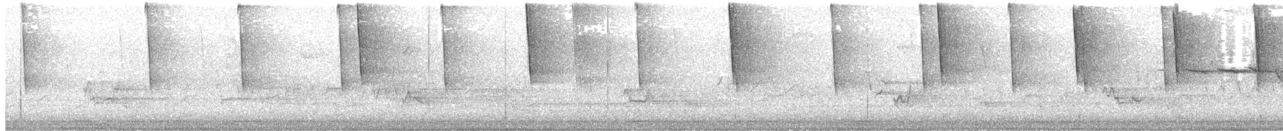 Black-throated Green Warbler - ML645287006