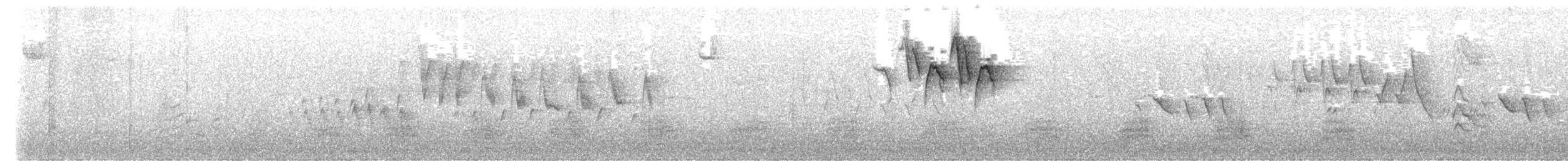 סבכון חכלילי - ML645287279