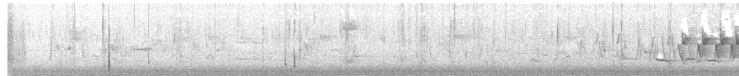 Northern Waterthrush - ML645287435