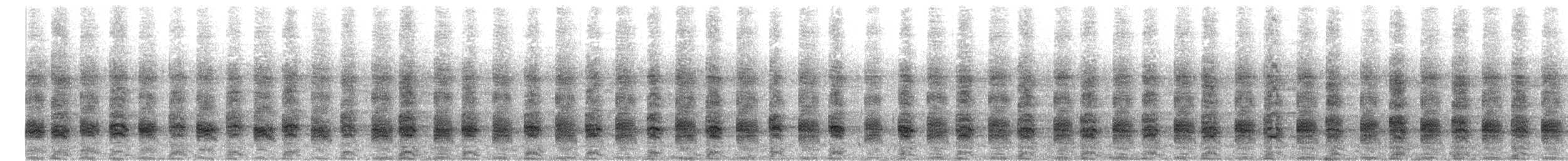 Tasmanian Nativehen - ML645287548