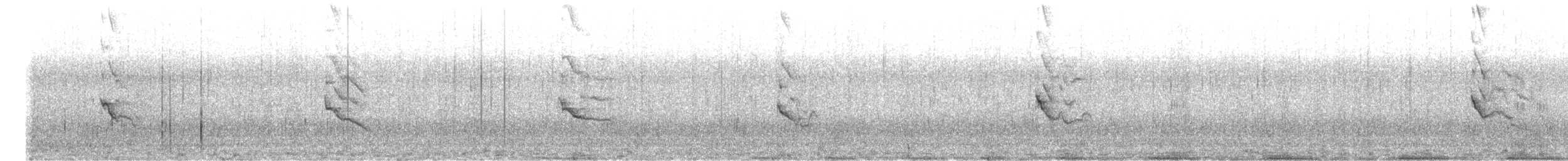 Tasmanian Nativehen - ML645287593