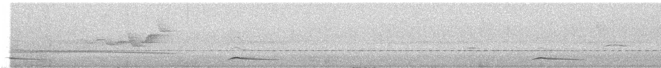 キマユオオヒラハシハエトリ - ML645287781