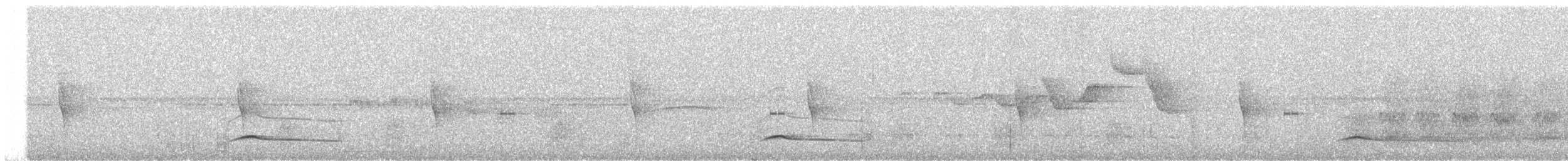 キマユオオヒラハシハエトリ - ML645287782