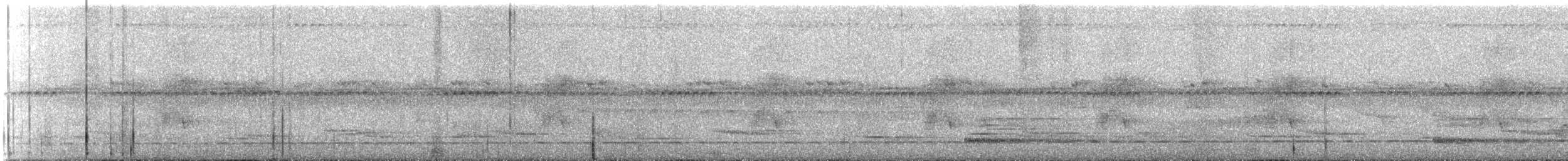 Such's Antthrush - ML645287915