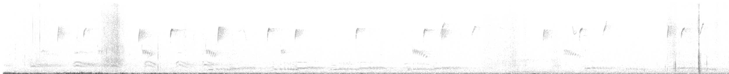 Sandhill Crane - ML645287932