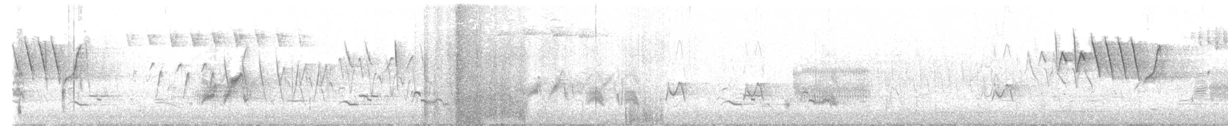 Blackpoll Warbler - ML645287964