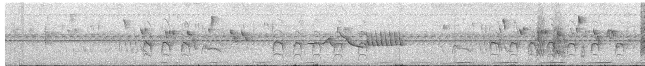 Small-billed Elaenia - ML645288001