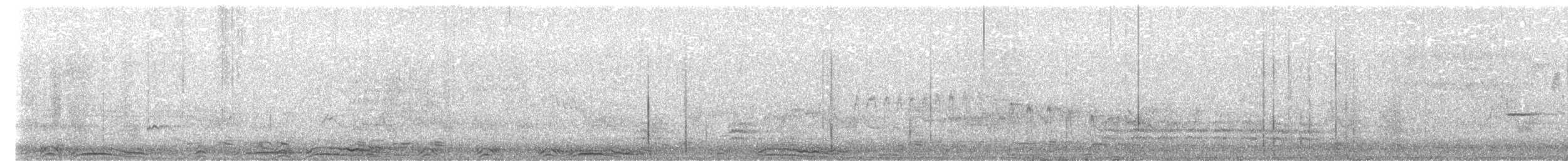 Barred Owl - ML645288300