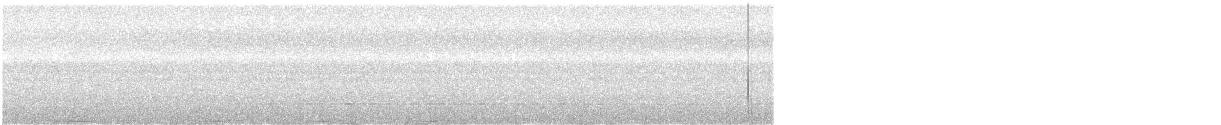 Superb Fruit-Dove - ML645288392