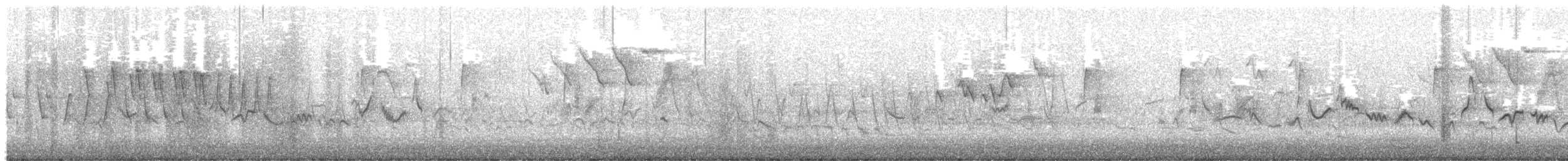 Wilson's Warbler - ML645288688