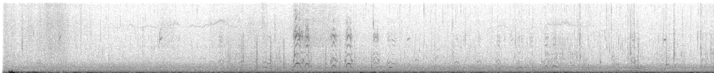 Harlequin Duck - ML645288746
