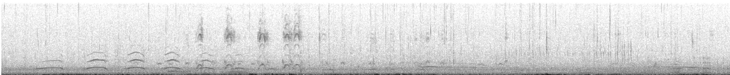 Harlequin Duck - ML645288747