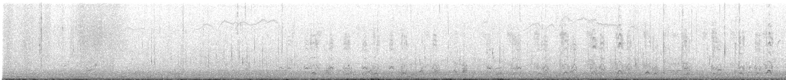 Harlequin Duck - ML645288754