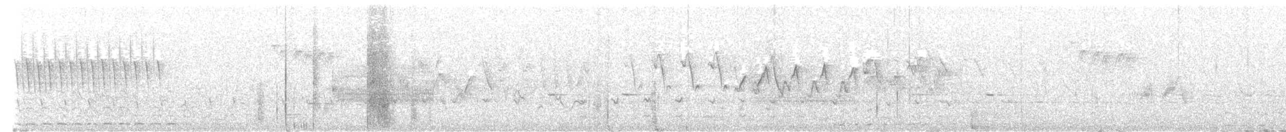 Wilson's Snipe - ML645288847