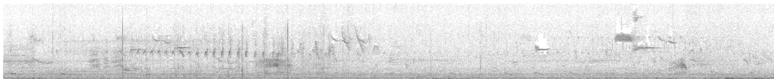 Caspian Tern - ML645289122