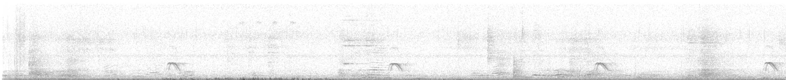 Pygmy Nightjar - ML645289558