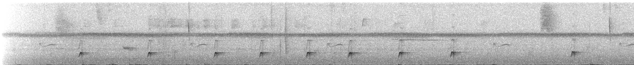 Gray-headed Piprites - ML645290232