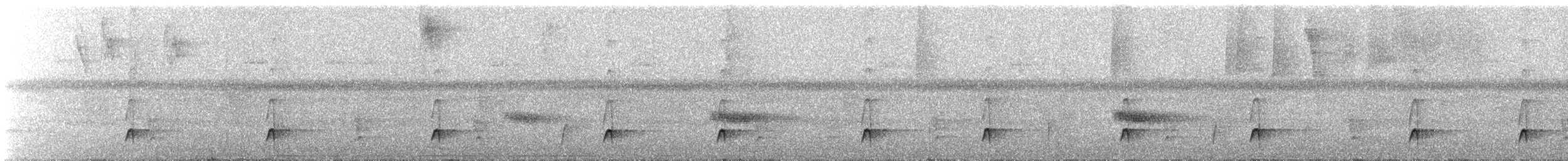 Gray-headed Piprites - ML645290238