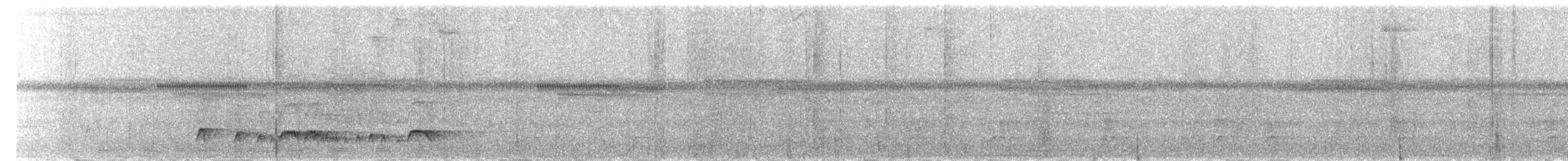 Gray-headed Piprites - ML645290244