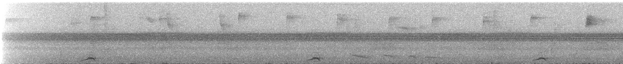 Lattice-tailed Trogon - ML645290315