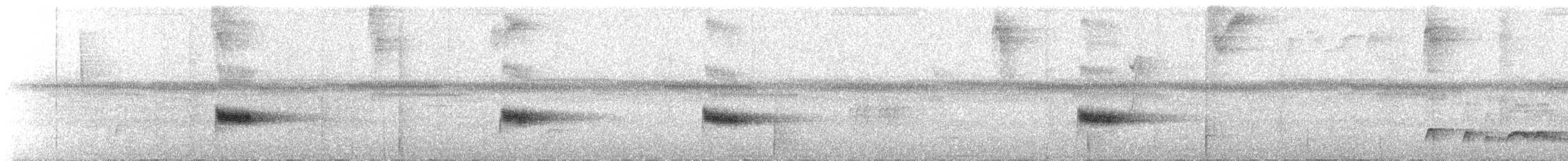 White-breasted Wood-Wren - ML645290388