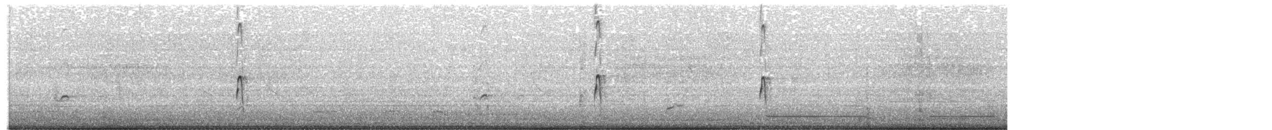 Неголь довгодзьобий - ML645290420