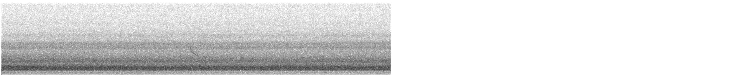 Подорожник лапландський - ML645291413