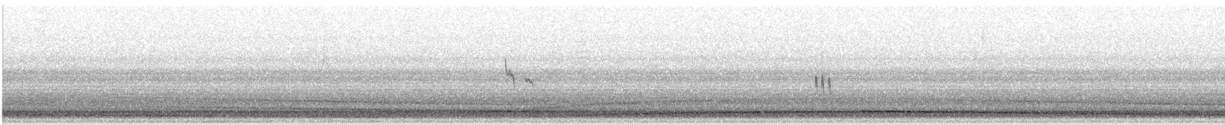 Подорожник лапландський - ML645291414