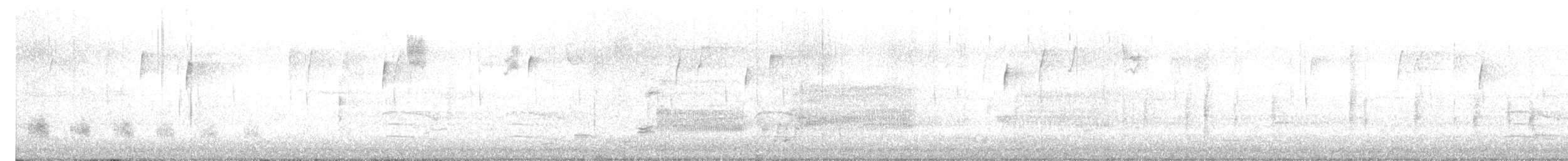 Virginia Rail - ML645291665