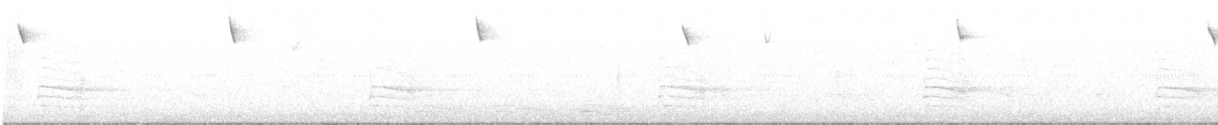 Bachman's Sparrow - ML645293158