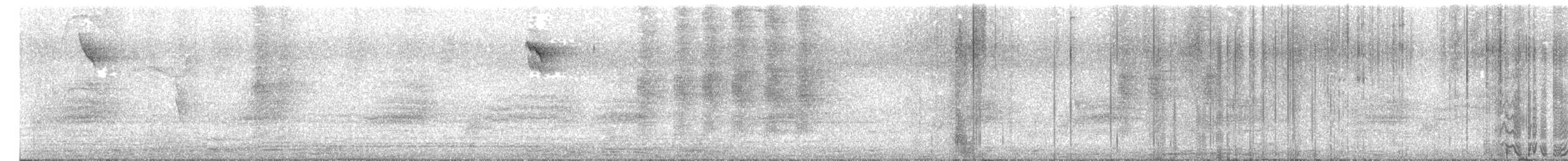 sokolec pralesní - ML645293780