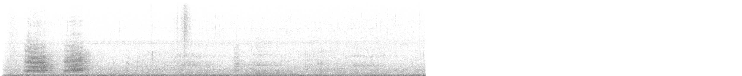 Koartza hauskara amerikarra - ML645294308